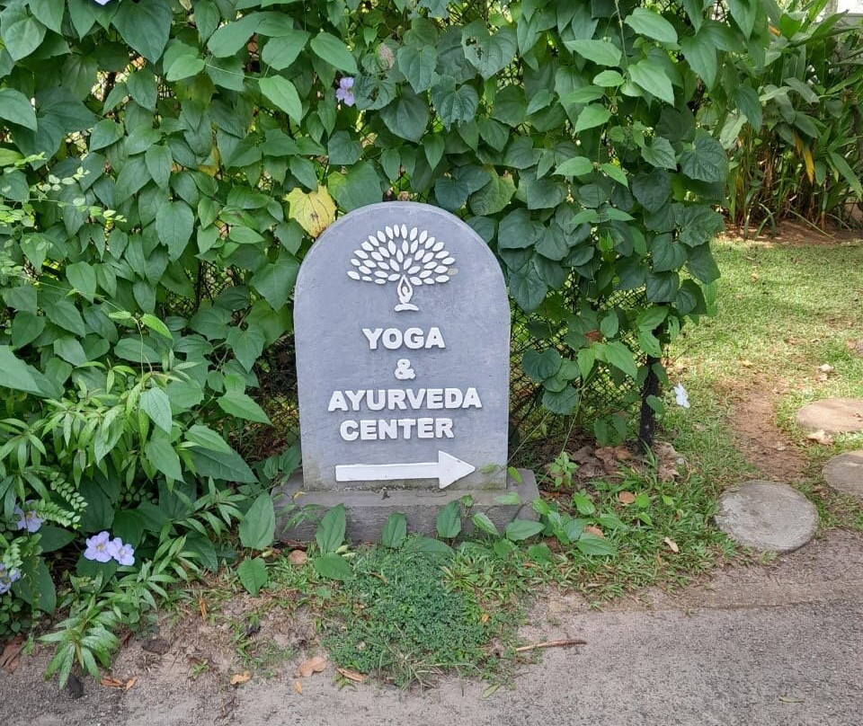 塔玛林德树酒店主图