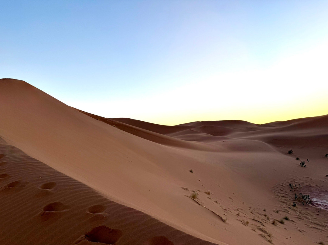 Sahara vibe-扎古拉必去景点