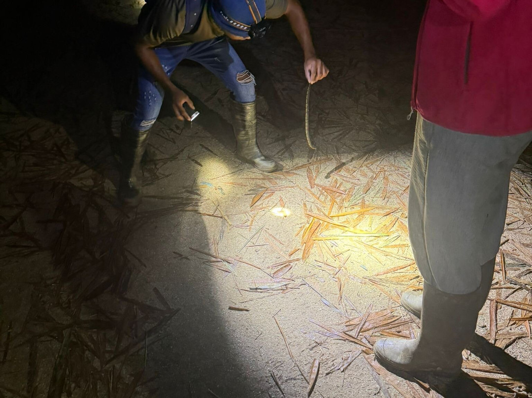 Unlock Nature-帕拉马里博必去景点