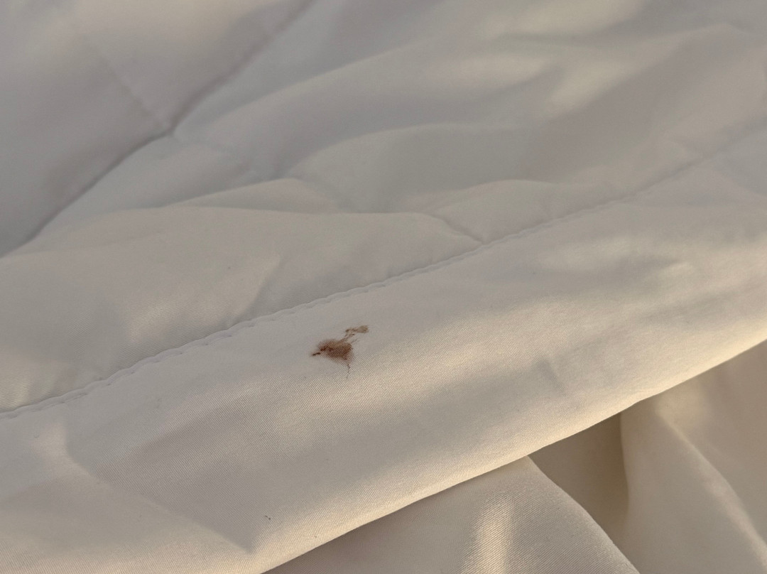 AmericInn by Wyndham Green Bay Near Stadium主图