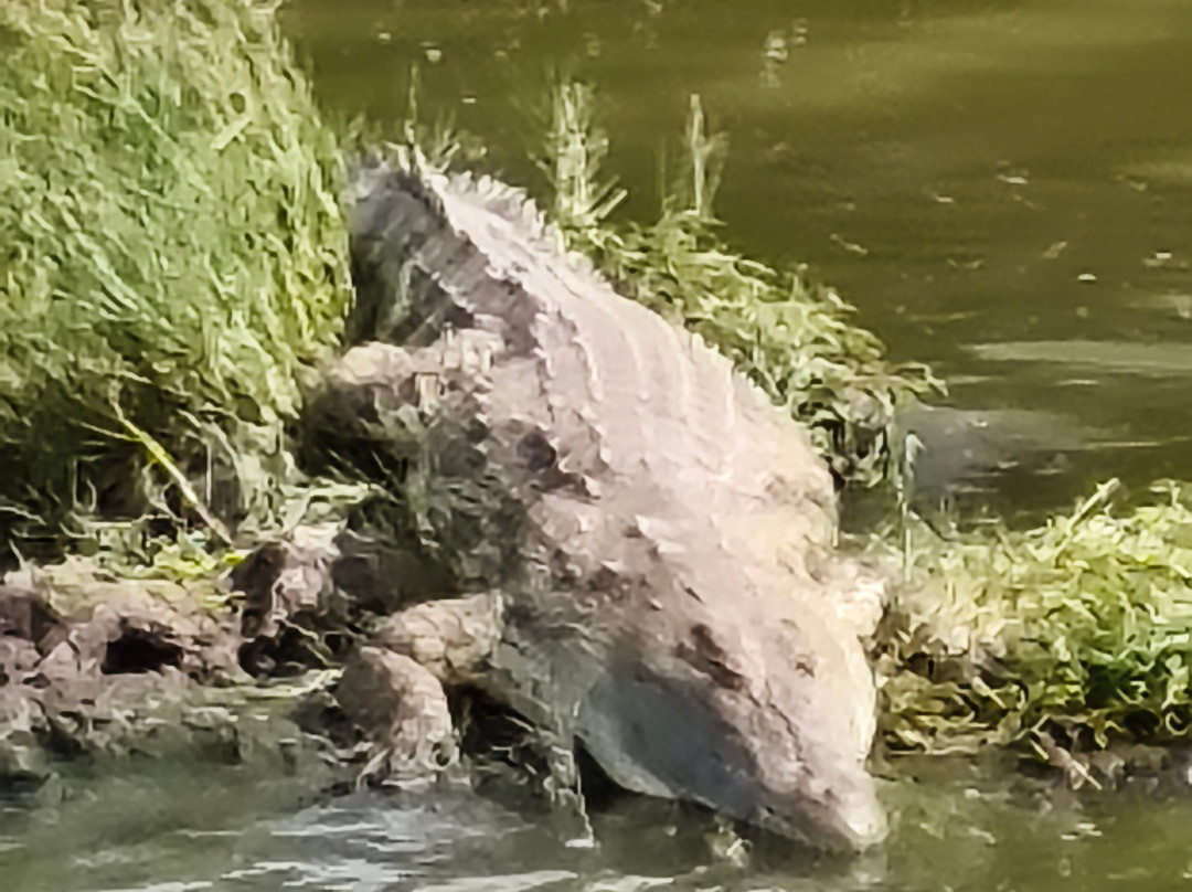 Mugenyi Eco Tours-Rubirizi必去景点