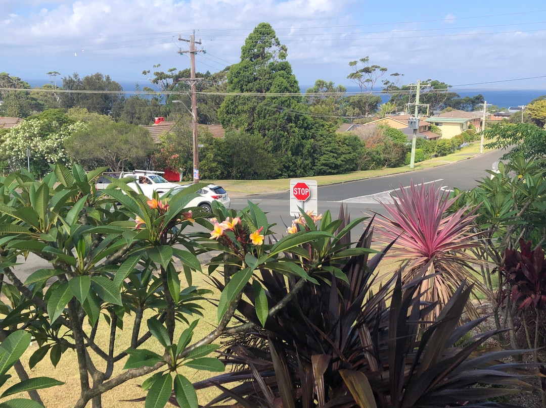 Mollymook Motel主图