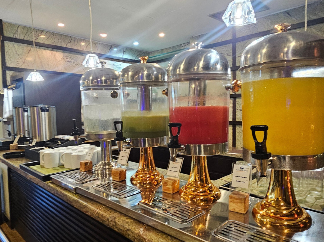 Eurobuilding Express Maiquetia主图