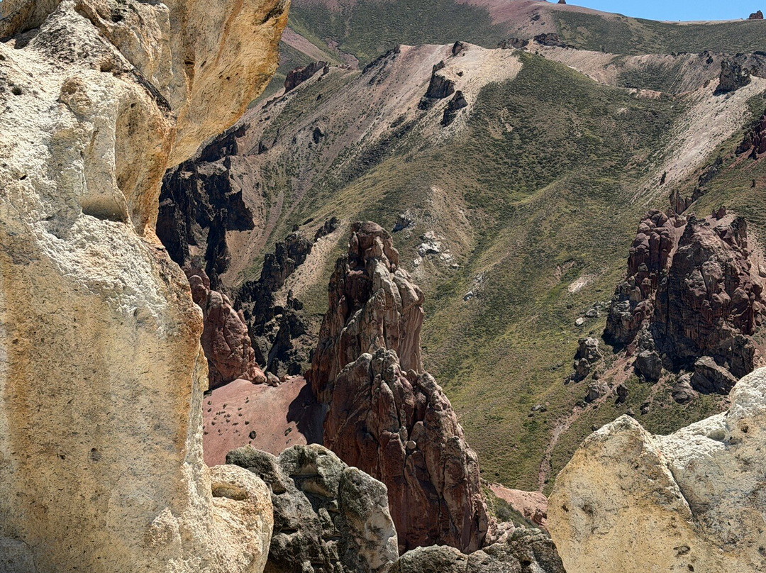 Reserva Nacional Jeinimeni-Chile Chico必去景点