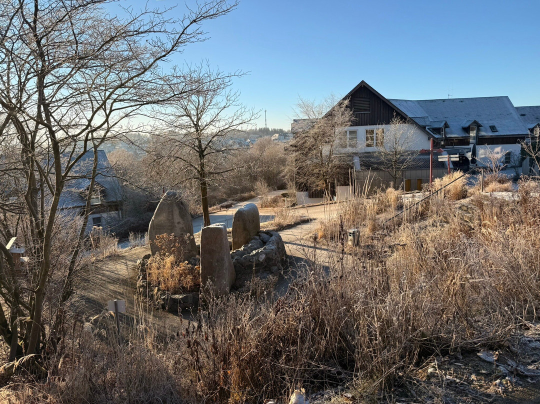 Hapimag Resort Winterberg主图