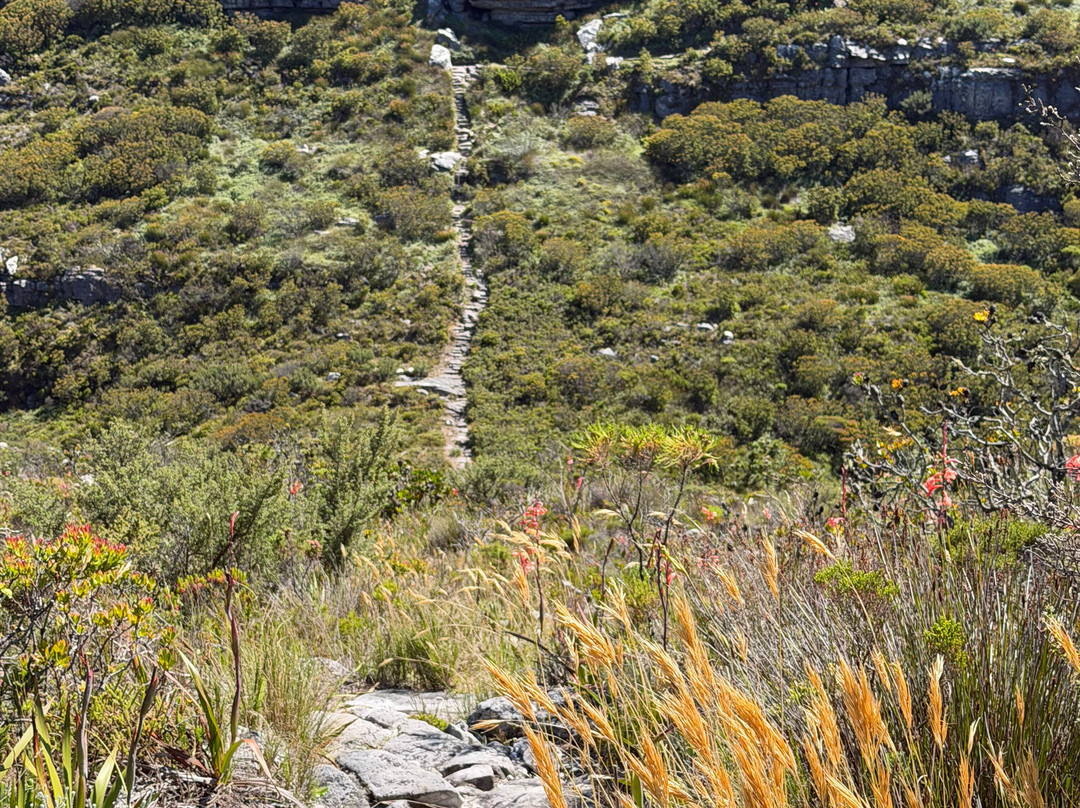 This is Cape Town-开普敦中心区必去景点