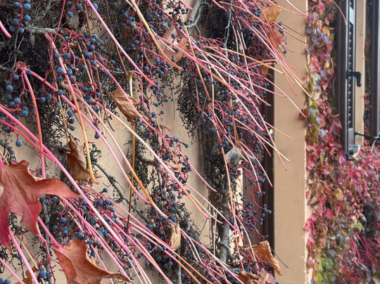 卡西那德雷罗赛酒店主图