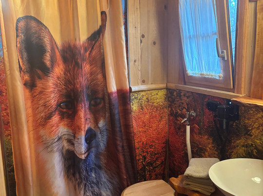 Wildparadies Tripsdrill-克莱布龙必去景点