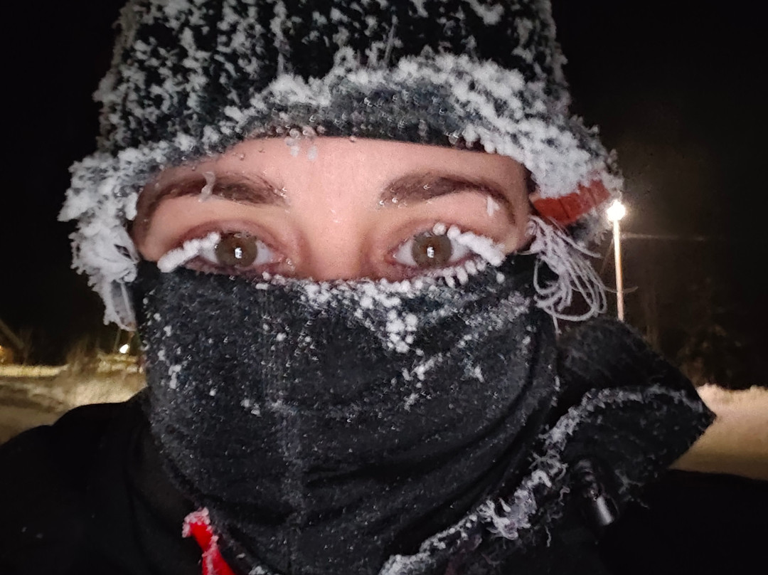 Lapland Safaris Yllas-Akaslompolo必去景点