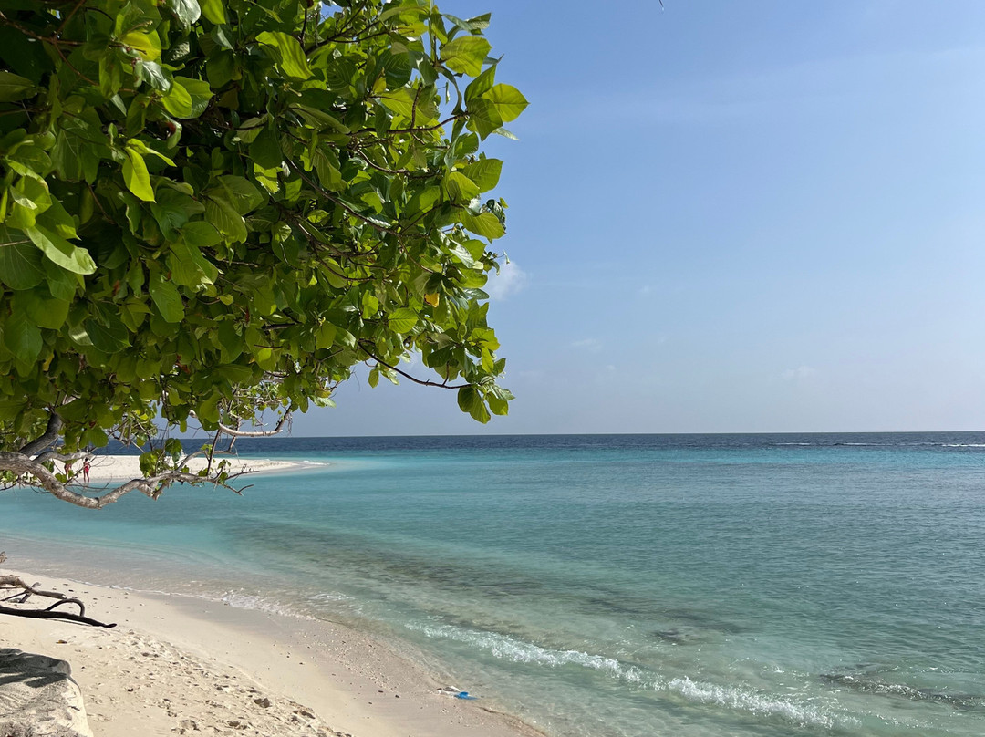 Shaviyani Retreat主图