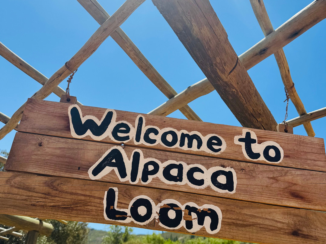 The Alpaca Loom Coffee Shop & Weaving Studio-Suider Paarl必去景点