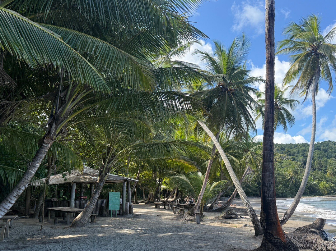 Batibou Beach-Hampstead必去景点