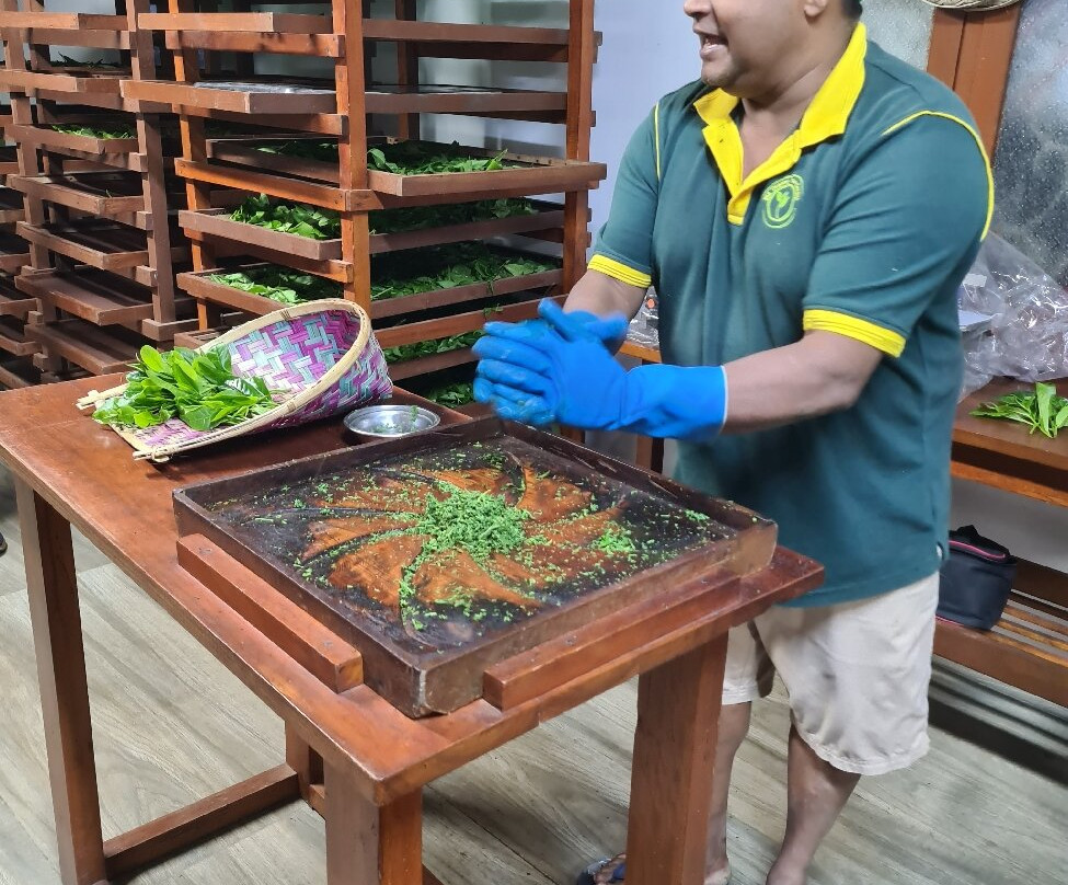 Ella Organic Tea Garden-Heeloya必去景点