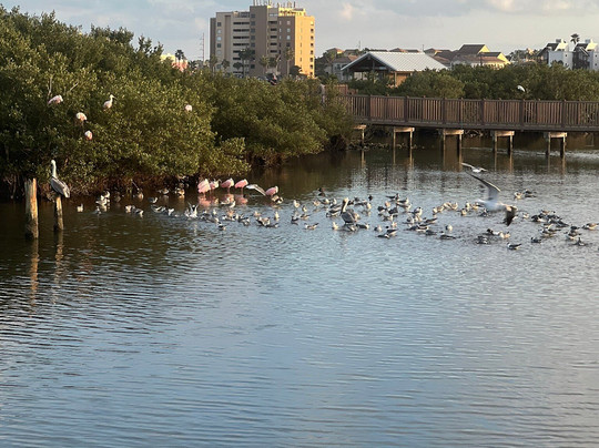 Laguna Madre Nature Trail-南帕诸岛必去景点