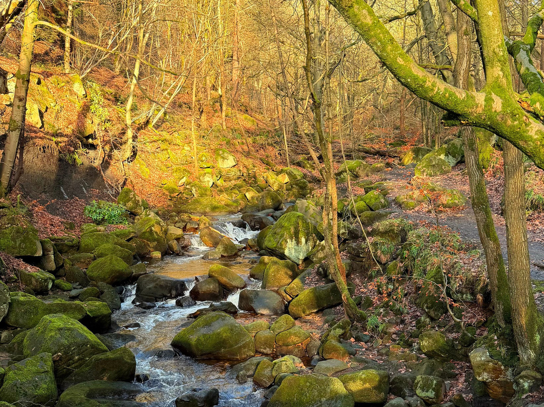 Padley Gorge-希望谷必去景点