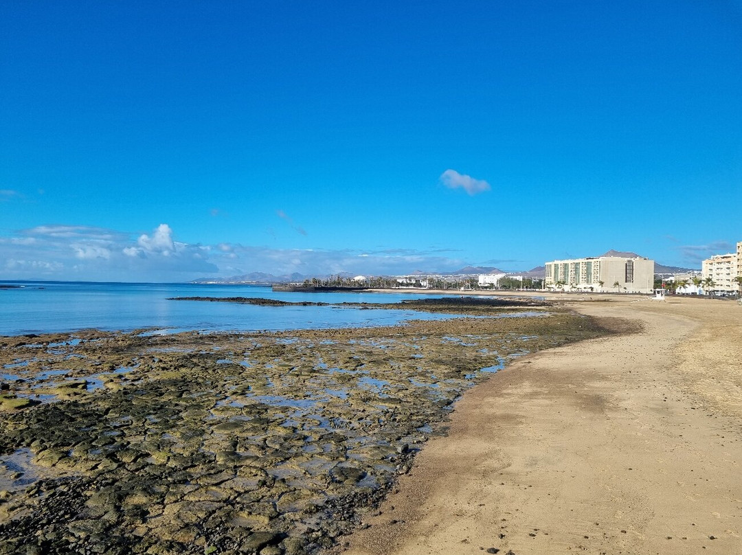 Playa Del Reducto-阿雷西费必去景点