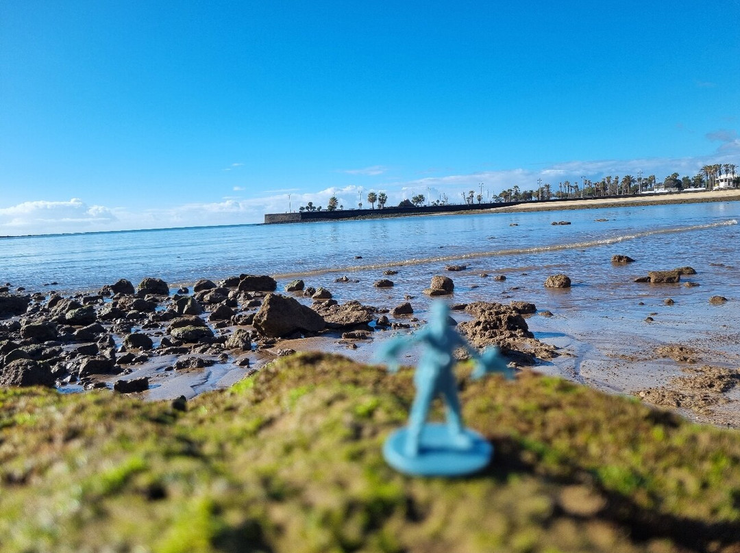 Playa Del Reducto-阿雷西费必去景点