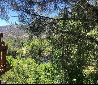 Whispering Pines Lodge主图