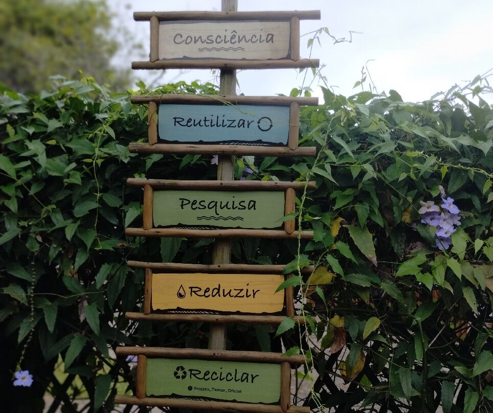 Projeto Tamar-乌巴图巴必去景点