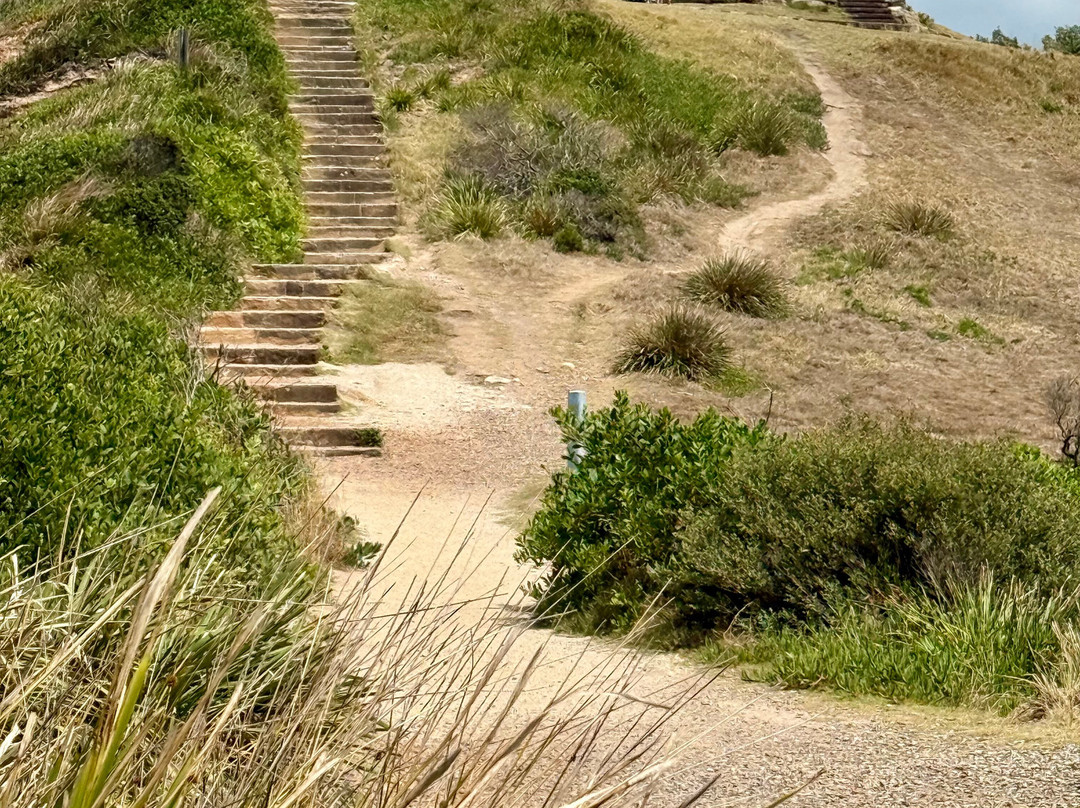 Long Reef Point-Collaroy Beach必去景点