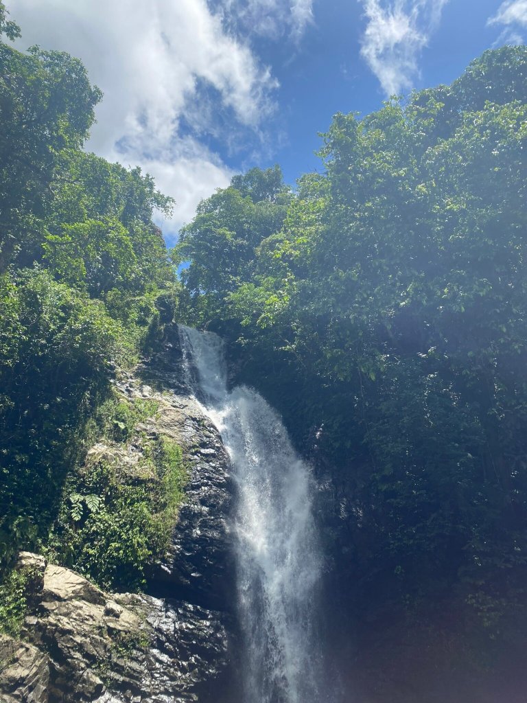 茂宜岛棕榈酒店-官方