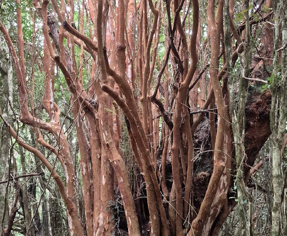 Parque Aiken del Sur-Puerto Chacabuco必去景点