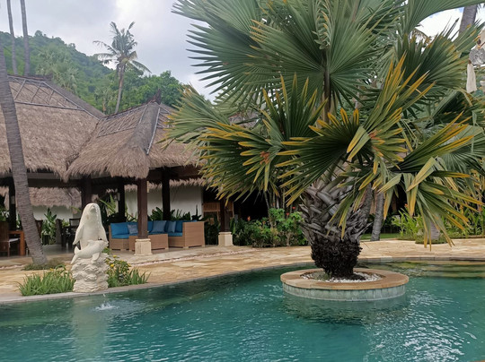 阿姆德棕榈花园海滩水疗度假村主图