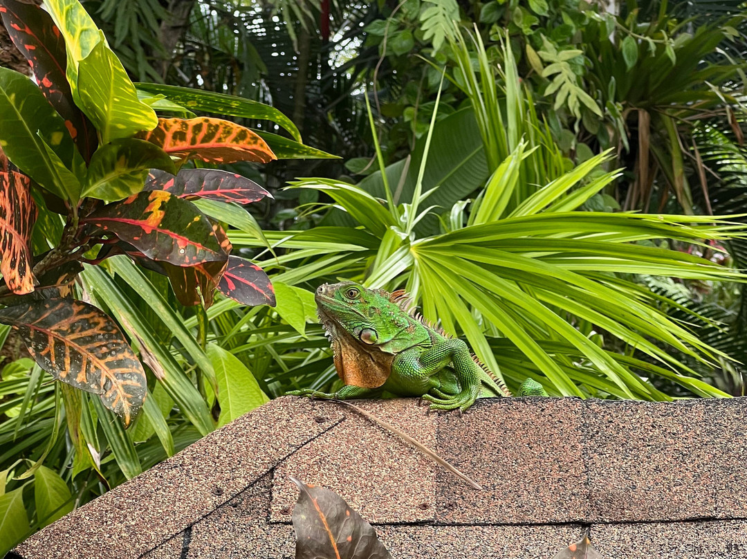 Arenas Travel Costa Rica-埃斯卡松必去景点