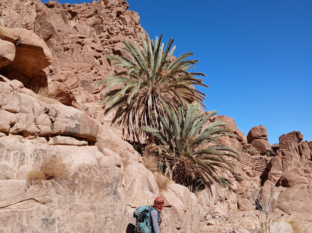 Sinai Hikes-圣卡特琳娜地区必去景点