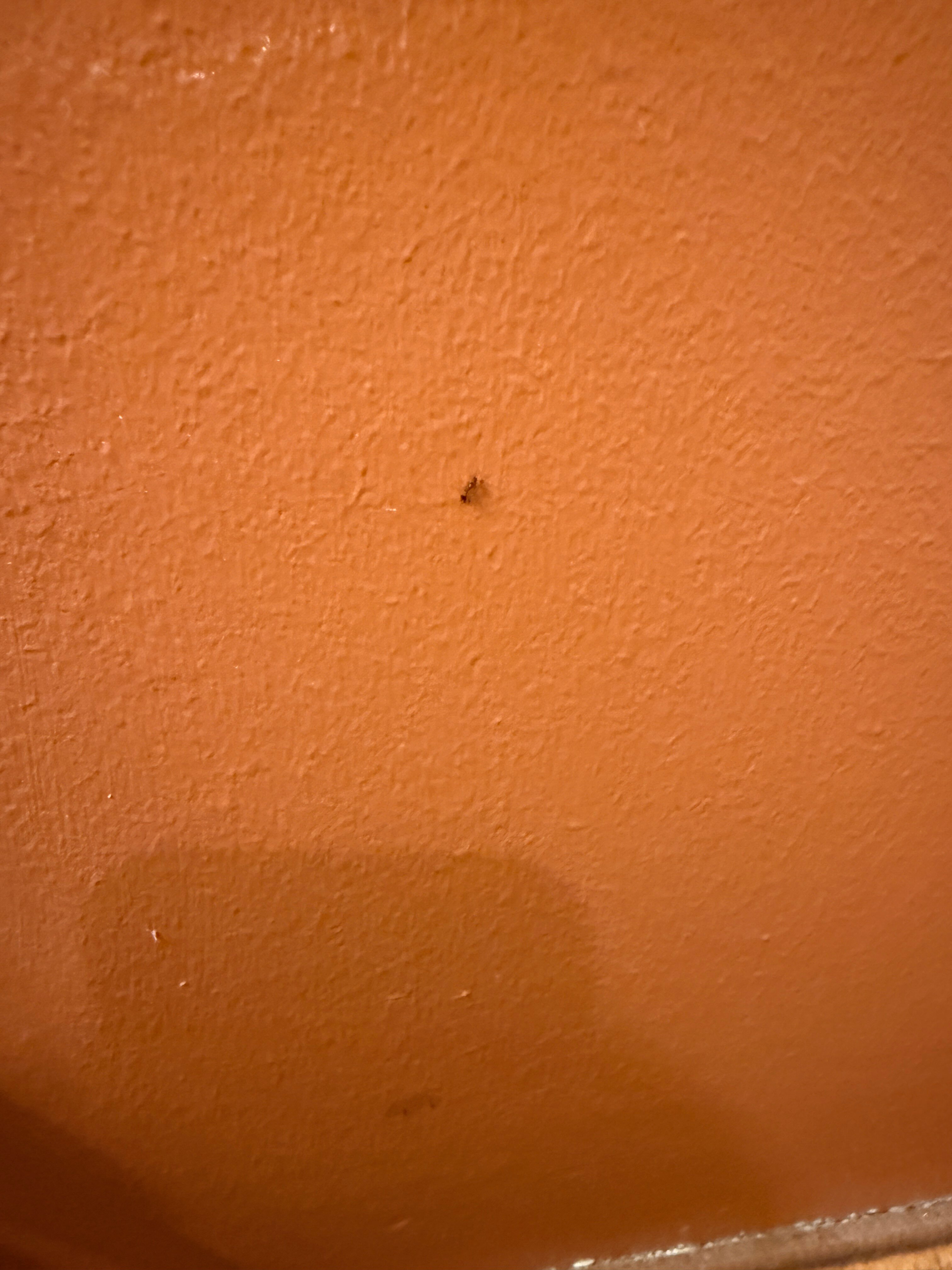 希洛城堡夏威夷酒店-客卧