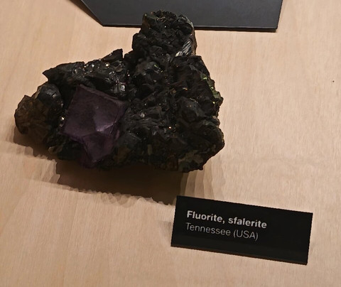 Geological Museum of the Dolomites-普雷达佐必去景点