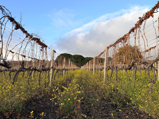 Tenuta Papale-Belpasso必去景点