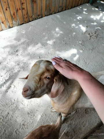 Oaga Art Resort Maldives主图