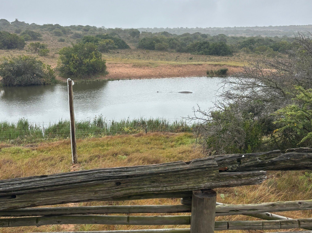 Amakahala Game Reserve