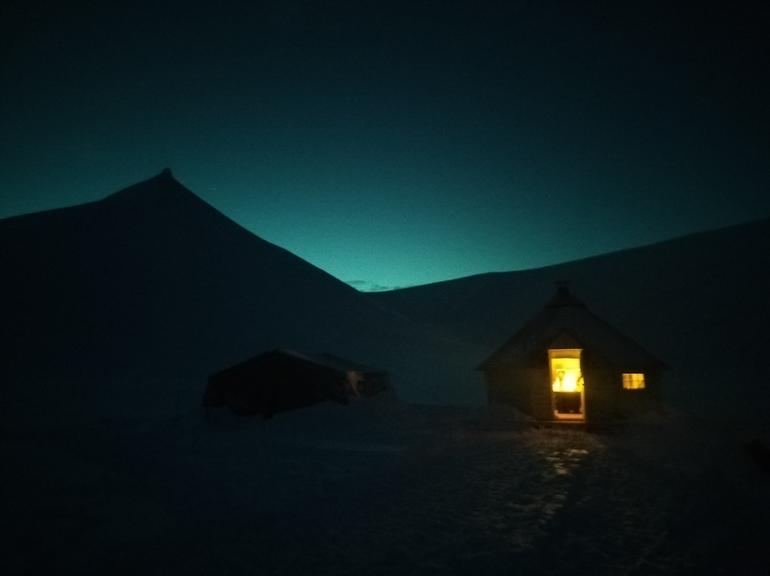 Green Dog Svalbard-朗伊尔城必去景点