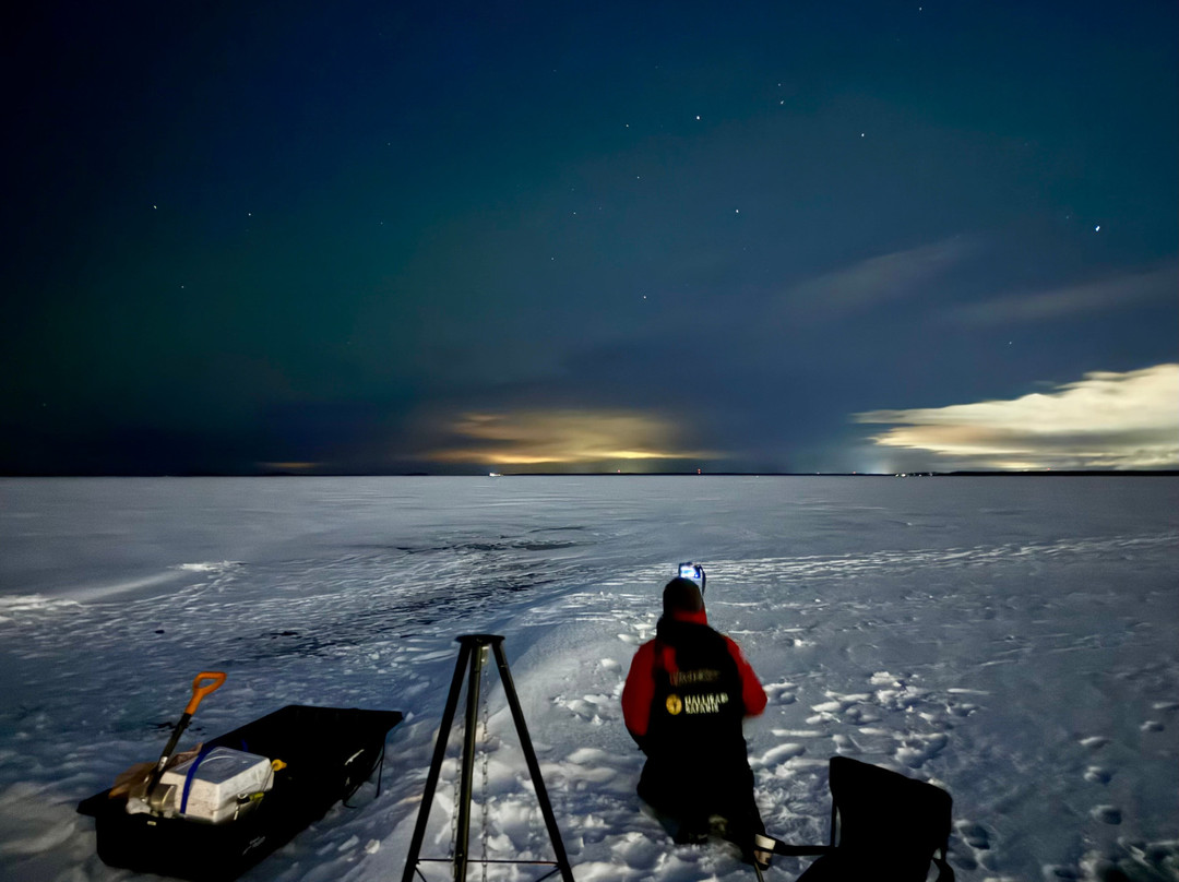 Nallikari Safaris-奥卢必去景点