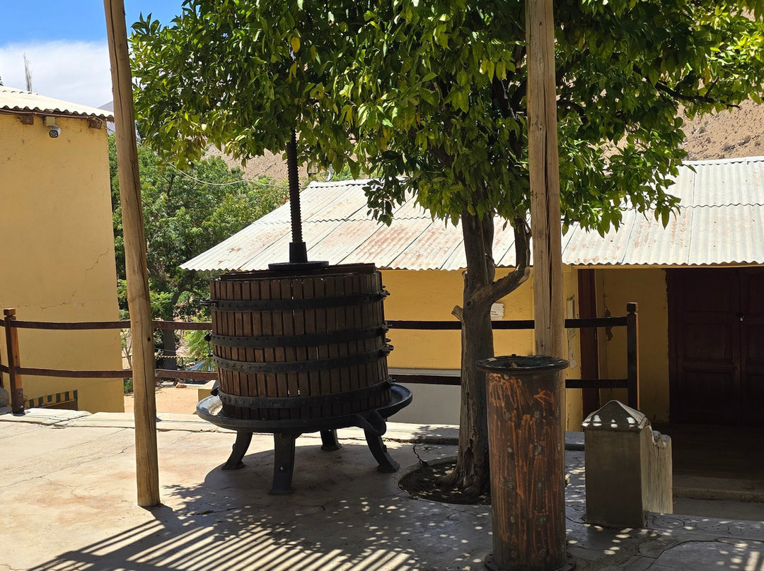 Fundo Los Nichos-Pisco Elqui必去景点