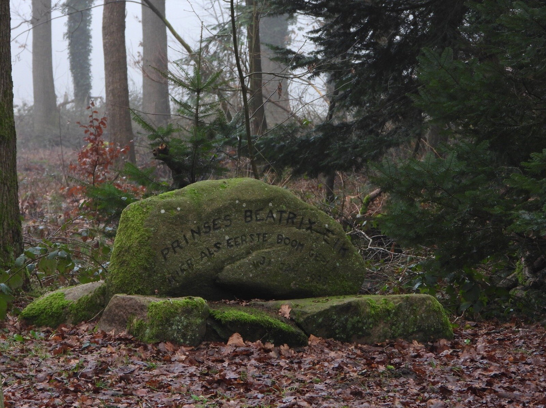 Eko-Tours-Exloo必去景点