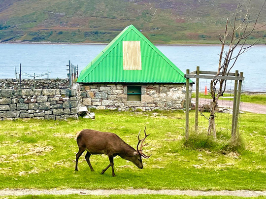 Applecross Beach-Applecross必去景点