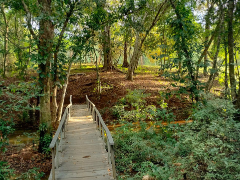Deseo Bamboo Panama  EcoLodge-Bungalows主图