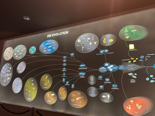 GONDWANA - Das Praehistorium-Schiffweiler必去景点