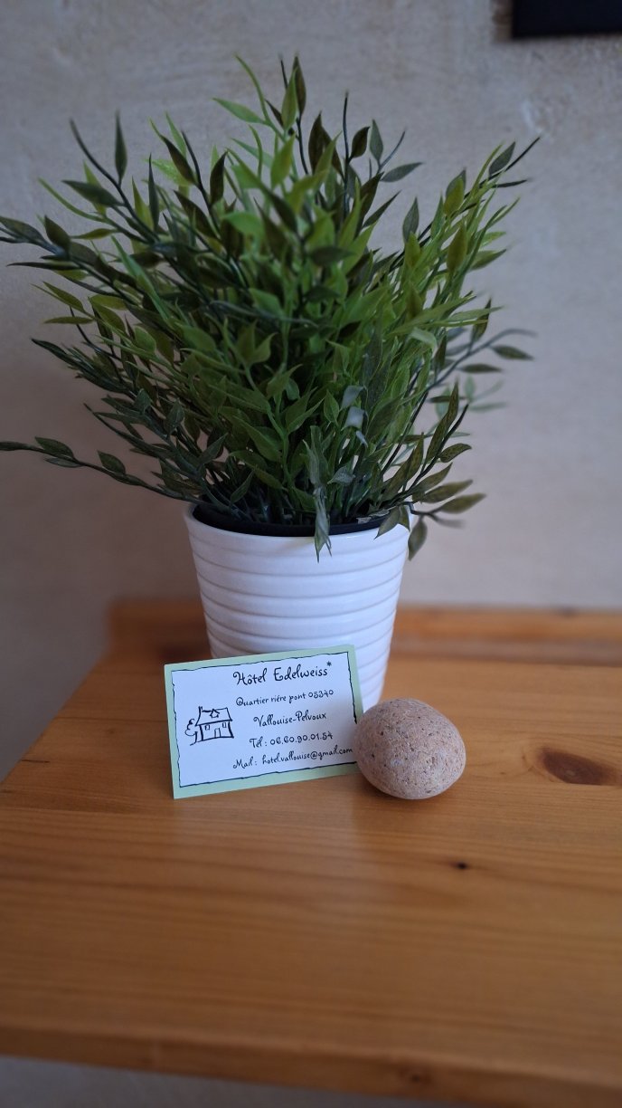 埃德维斯酒店-官方