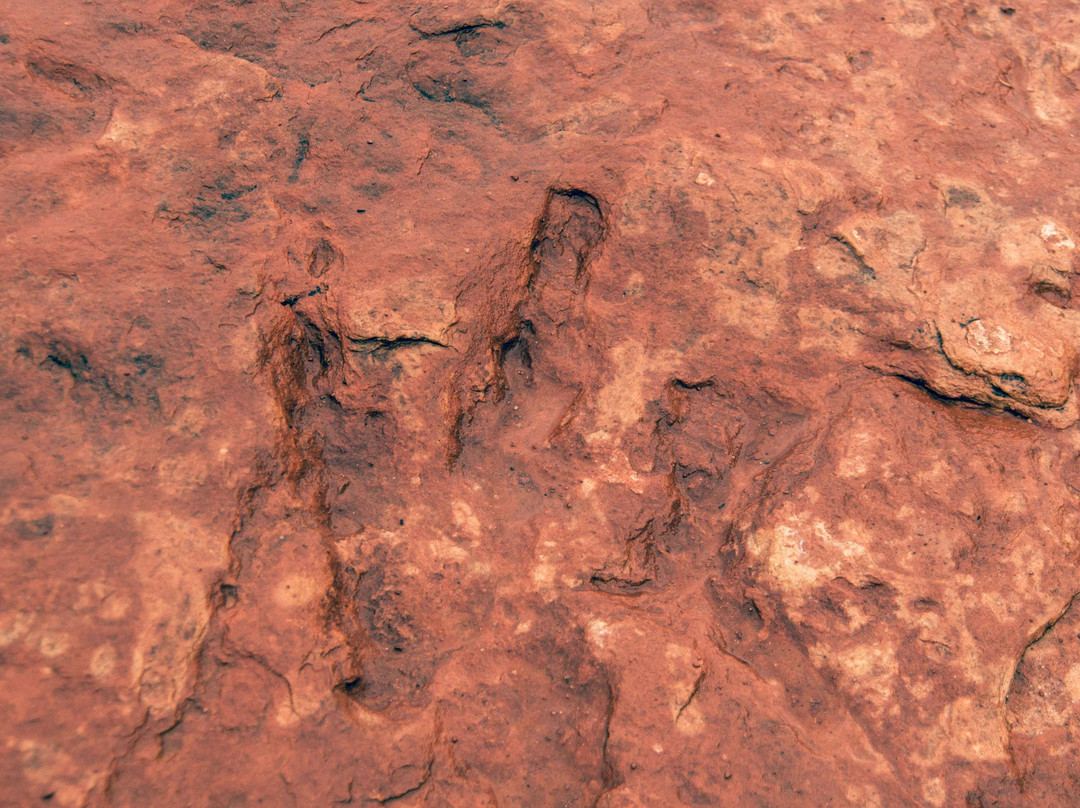 Red Cliffs National Conservation Area-圣乔治必去景点