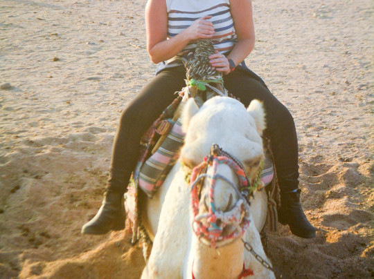 Ride Egypt-赫尔格达必去景点