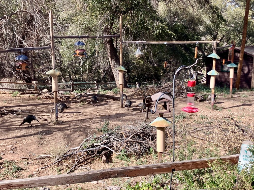 Santa Rita Lodge-浴室