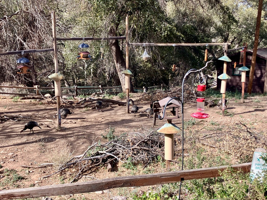 Santa Rita Lodge主图