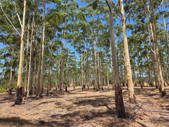 Softfoot Farm & Wildlife Park-Hindmarsh Valley必去景点