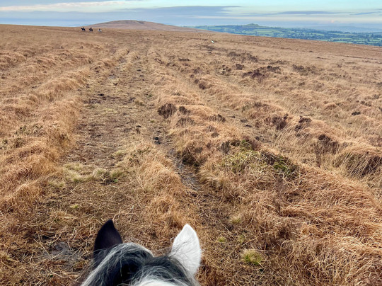 Cholwell Riding Stables-Mary Tavy必去景点