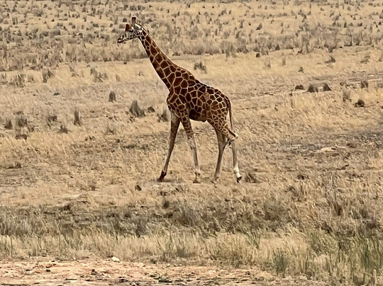 Monarto Safari Park-Monarto必去景点