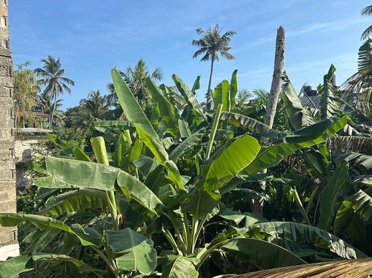 MYM Travels And Tours-班托塔必去景点